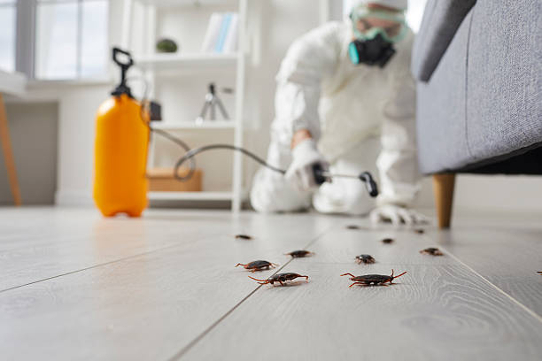 Commercial Kitchen Cockroach Control in Cathedral City